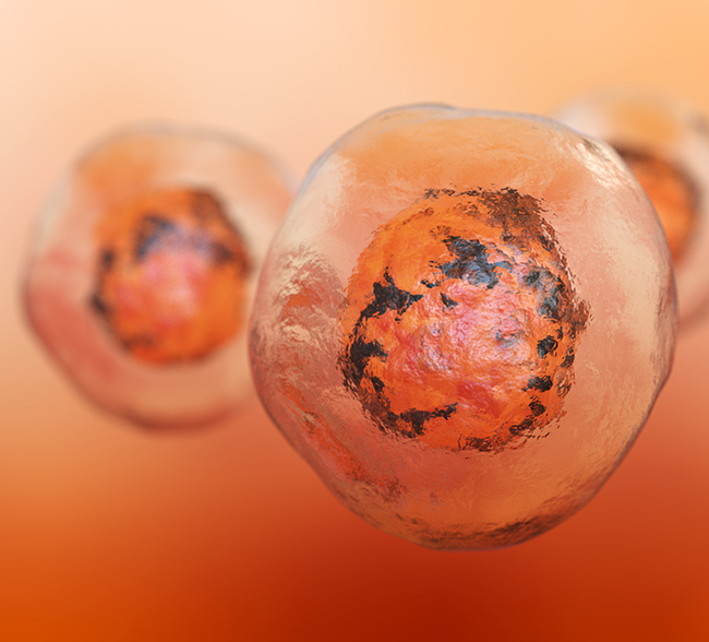 Doctor gaining in a syringe medication.