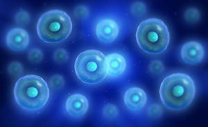 b2ap3_thumbnail_Stem-Cell-Therapy-300x183