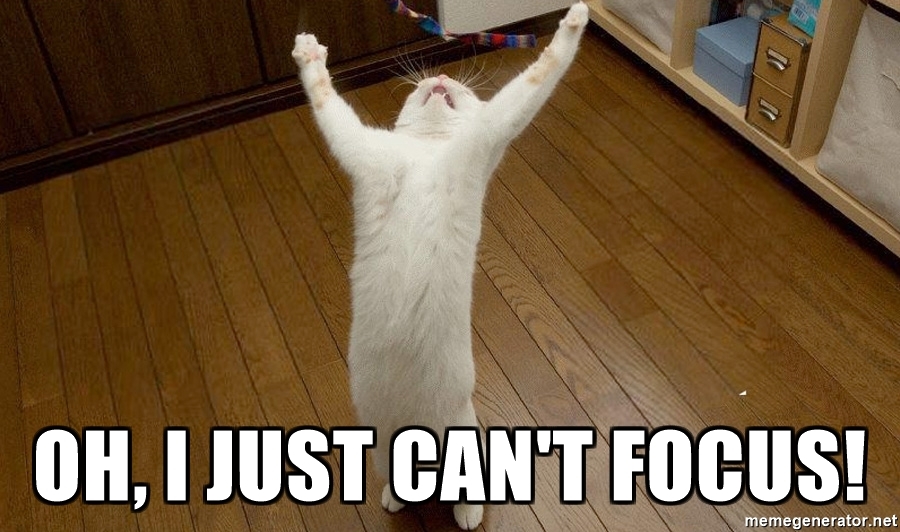 oh-i-just-cant-focus