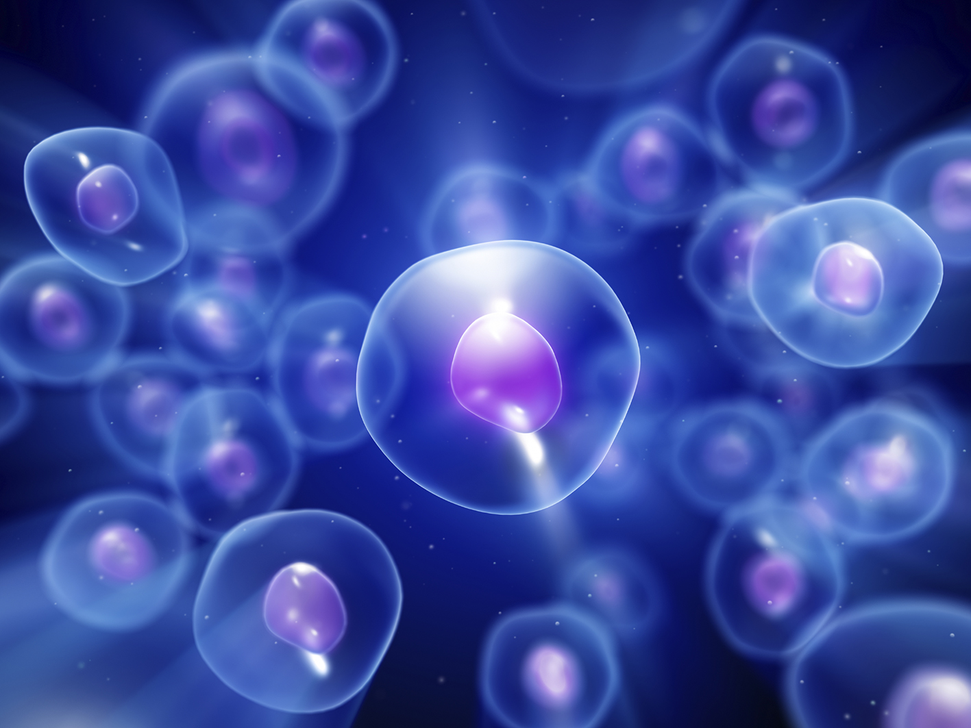 stem cell therapy