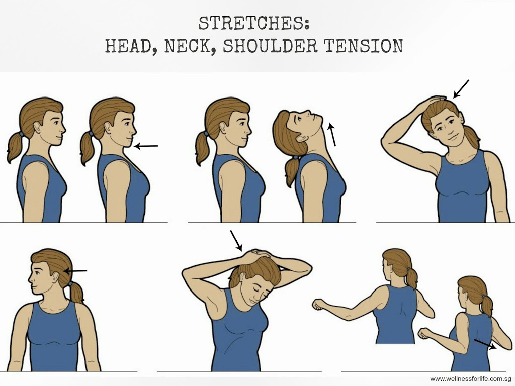 neck stretches