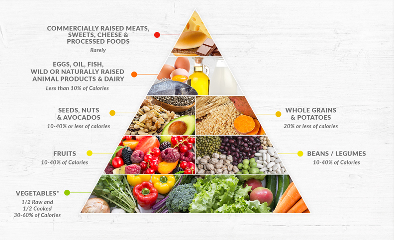 nutrition - food pyramid