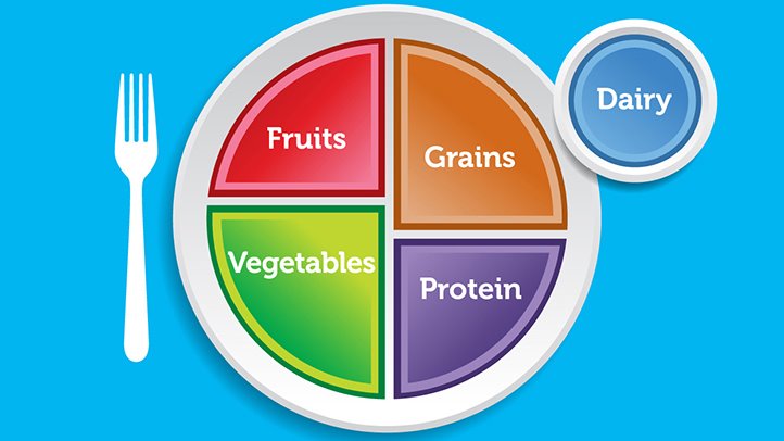 nutrition - plate pyramid